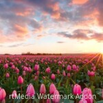 Skagit Valley, Washington