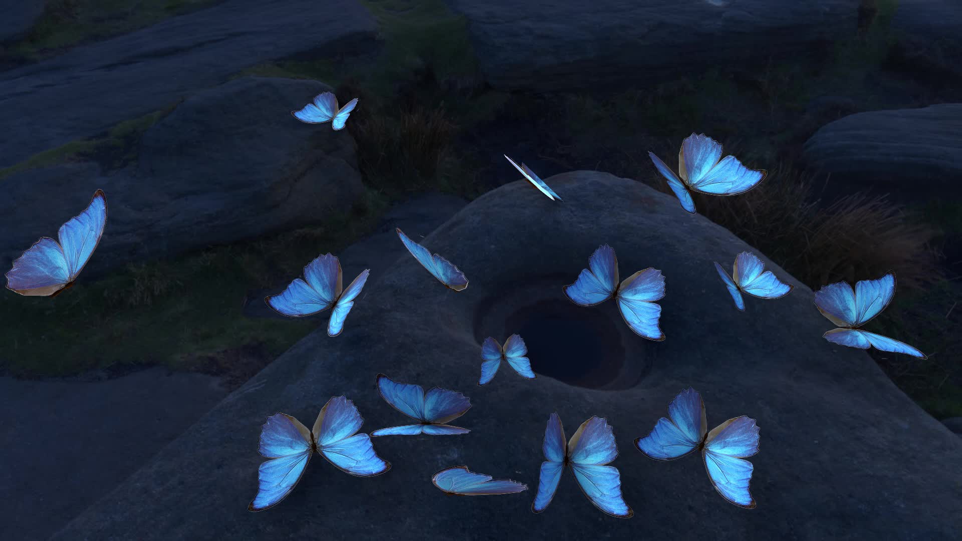 leuchtende butterfly HD