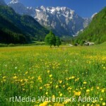 spring-in-alpine-valley-stock-photo_-image-of-slovenia-2021784