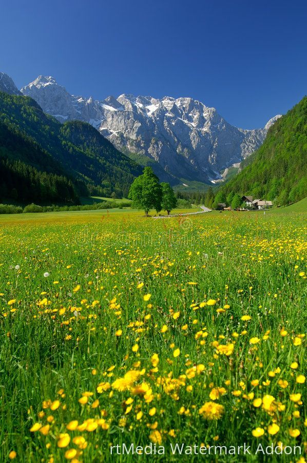 spring-in-alpine-valley-stock-photo_-image-of-slovenia-2021784