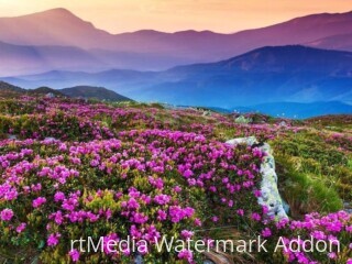 Valley of Flowers trek Uttarakhand - 2021- complete guide